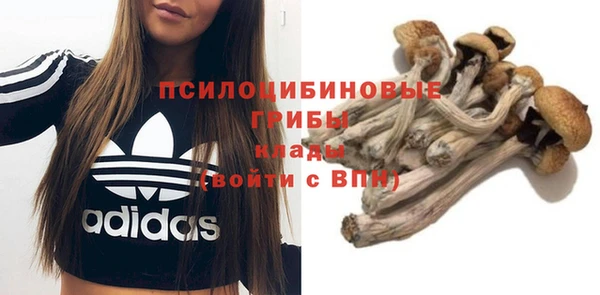 МДМА Алексеевка
