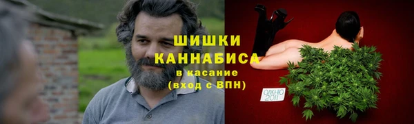 ешки Алексин