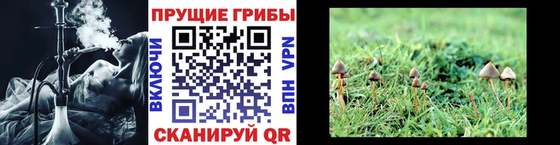 Галлюциногенные грибы прущие грибы  Анжеро-Судженск 