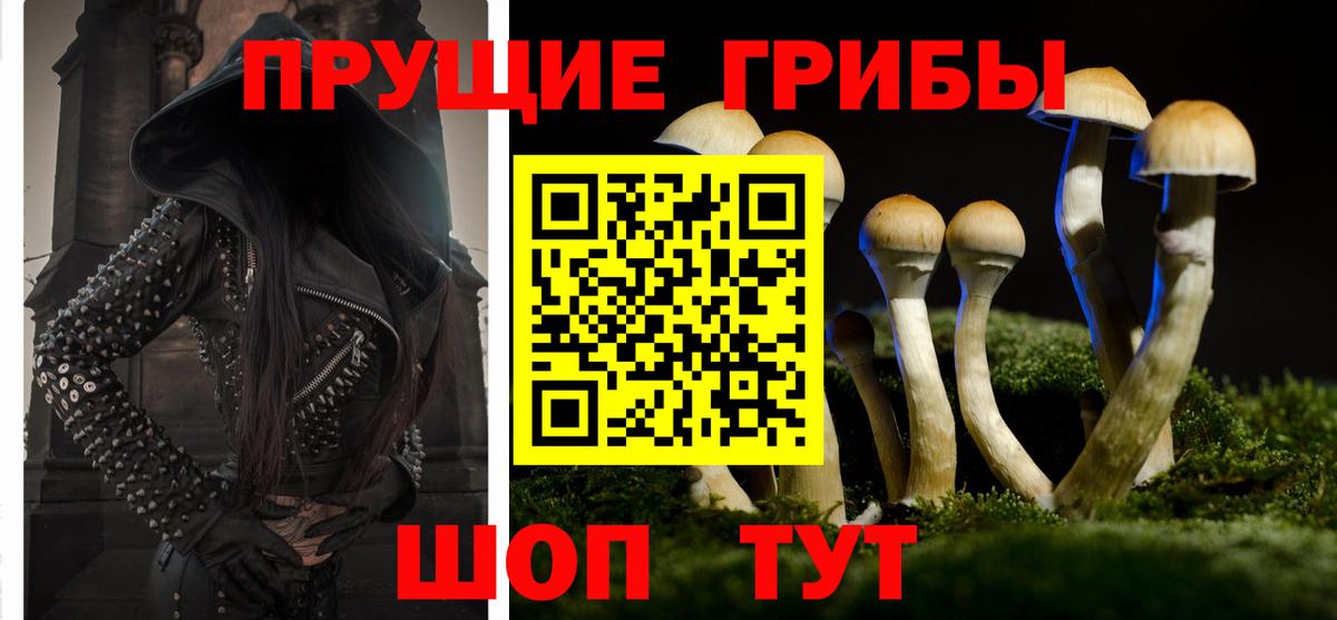 Псилоцибиновые грибы прущие грибы  Вход с VPN  Псилоцибиновые грибы мицелий  Анжеро-Судженск 